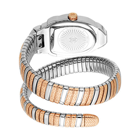 [ARRIVING] ROBERTO CAVALLI  Aurora Silver-tone Dial Ladies Watch RC5L133M0075 image 2