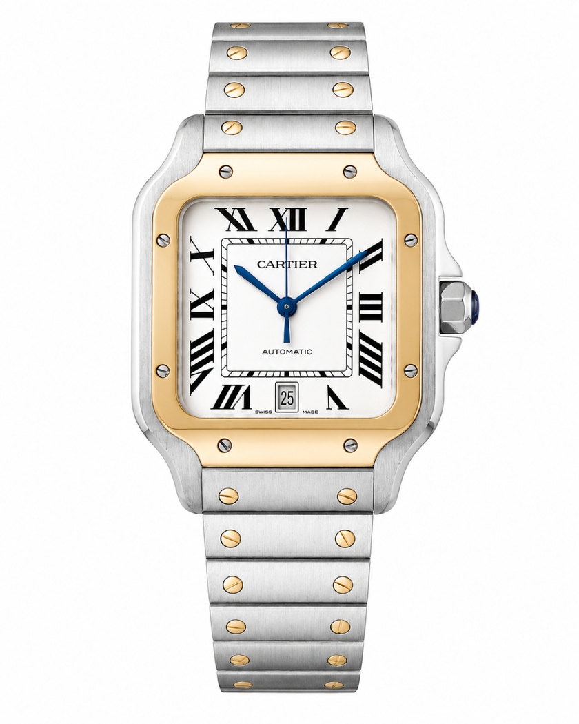 [2023 Store Display] Cartier Santos Silver Dial W2SA0009 39.8 mm x 47.5 mm