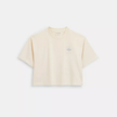 COACH Garment Dye Cropped T Shirt - Cream image 2
