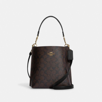 COACH Mollie Bucket Bag 22 In Signature Canvas image 0