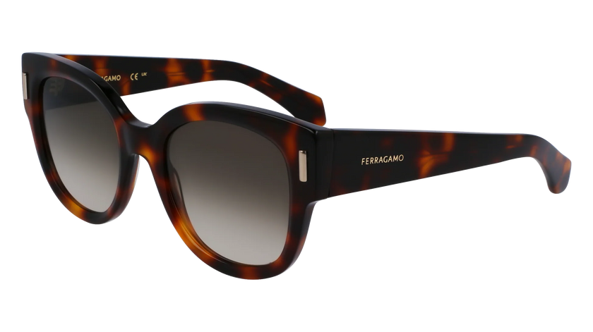 SALVATORE FERRAGAMO Brown Gradient Oval Ladies Sunglasses SF2007S 240 51 image 0