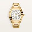 Brand New Roadster Watch CRWGRD0012 at HauteBook.com. Best prices in US, EU, UK & India. Lifetime Authenticity Guarantee. All India Delivery. Trusted by India's Top 1%.