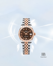 [Store Display] ROLEX Datejust Chocolate Brown Diamond Stainless Steel  31mm