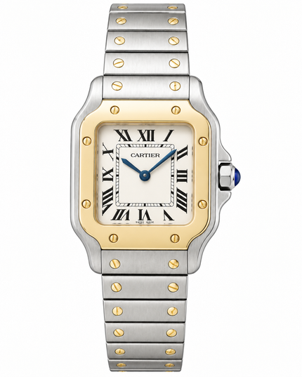 [Brand New] CARTIER Santos De Cartier SM W2SA0033