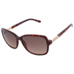 GUESS Factory  Brown Gradient Butterfly Ladies Sunglasses image 1