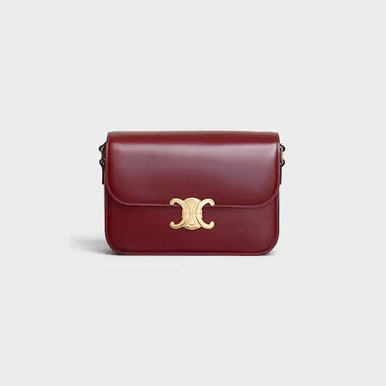 CELINE  Classique Triomphe Bag In Shiny Calfskin (@Delhi Studio) image 1