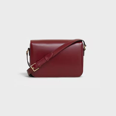 CELINE  Classique Triomphe Bag In Shiny Calfskin (@Delhi Studio) image 4