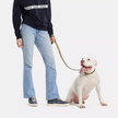 COACH Boxed Large Pet Leash In Signature Canvas image 1