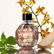 [AT DELHI] JIMMY CHOO by EDT Spray (100ml) image 1