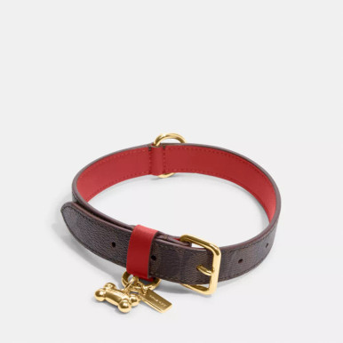 COACH Boxed Medium Pet Collar In Signature Canvas - Gold/Brown Black/Red Apple image 0