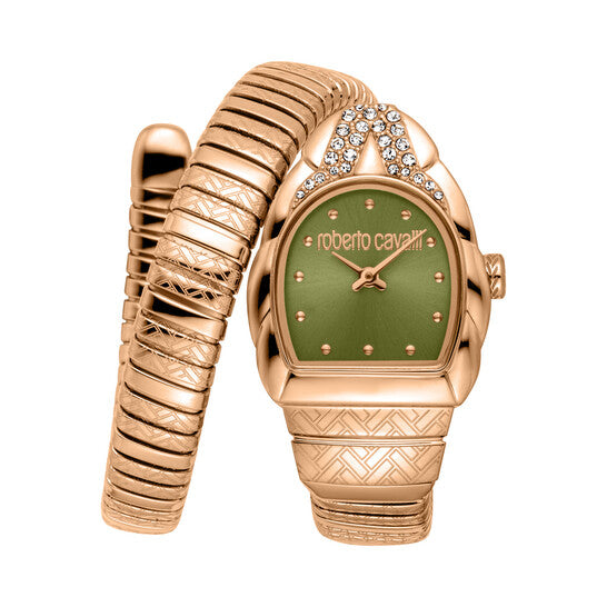 ROBERTO CAVALLI Aurora Green Dial Ladies Watch Item No. RC5L133M0055 image 0