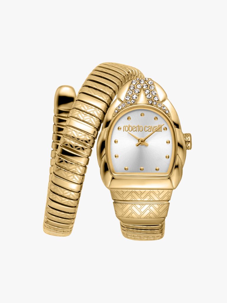[AT DELHI] ROBERTO CAVALLI Aurora Silver-tone Dial Ladies Watch image 0