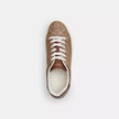 Coach High Line Sneaker In Signature Canvas - Brown Khaki image 0