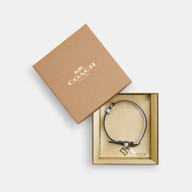 COACH Boxed Medium Pet Collar In Signature Canvas - Gold/Light Khaki Chalk image 0
