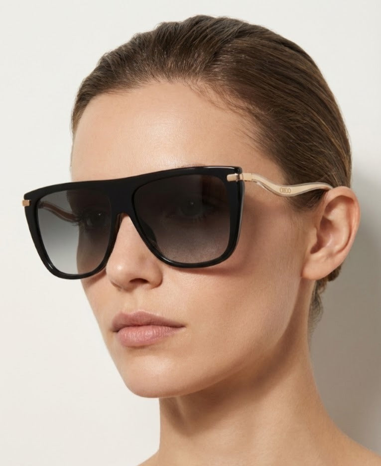 Jimmy Choo  Gray SF Gold Browline Ladies Sunglasses image 0