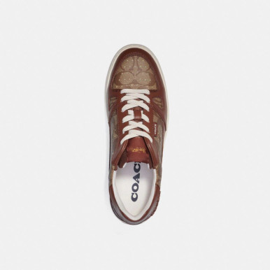 COACH  Clip Court Sneaker - Saddle image 1