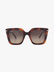 SALVATORE FERRAGAMO Brown Gradient Butterfly Ladies  Sunglasses SF1041S 238 51