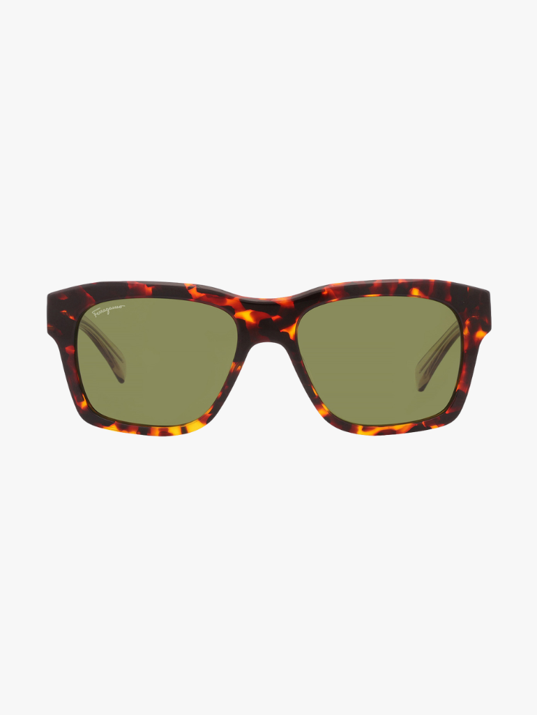 FERRAGAMO Salvatore Green Square Men's Sunglasses SF1087S 219 56