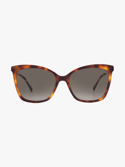 JIMMY CHOO Brown Gradient Butterfly Ladies Sunglasses MACI/S 0086/HA 55