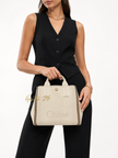 CHLOE Carry  Bag