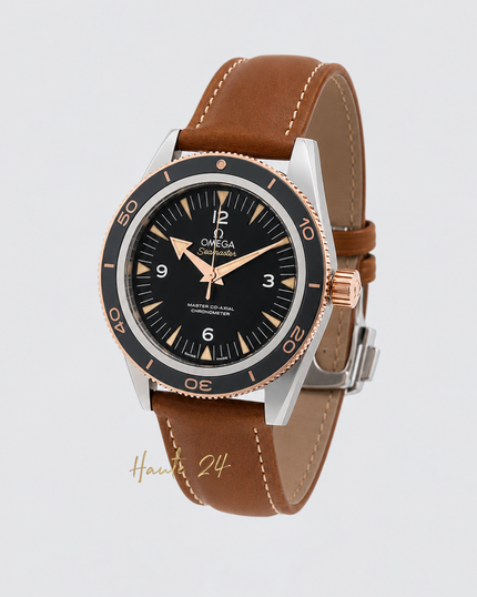 [Brand New] OMEGA Seamaster 233.22.41.21.01.002 41mm