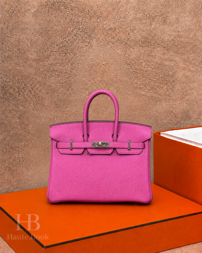 [Unused] HERMES Birkin 25 Magnolia Togo Palladium Hardware