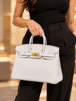 [Brand New] HERMÈS Birkin 25 Retourne Gris Platine N4 Togo Gold Hardware