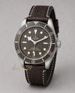 TUDOR Black Bay Fifty-Eight 925 Silver Men'S Watch M79010Sg-0001