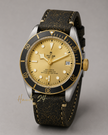 Montre homme TUDOR Heritage Black Bay 41 mm cadran champagne M79733N-0003