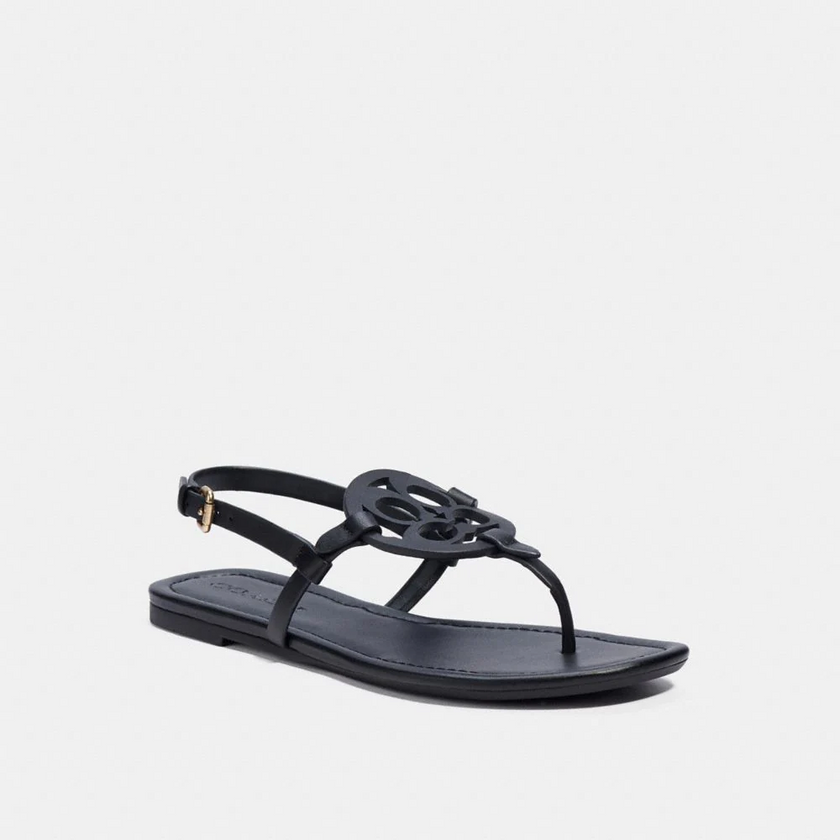 COACH Jaci Sandal - Black, 5 image
