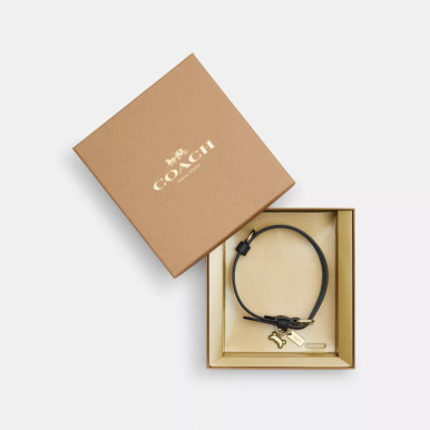 COACH Boxed Medium Pet Collar In Signature Canvas - Gold/Brown Black image 0