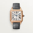 Brand New Santos-Dumont Watch CRWGSA0116 at HauteBook.com. Best prices in US, EU, UK & India. Lifetime Authenticity Guarantee. All India Delivery. Trusted by India's Top 1%.
