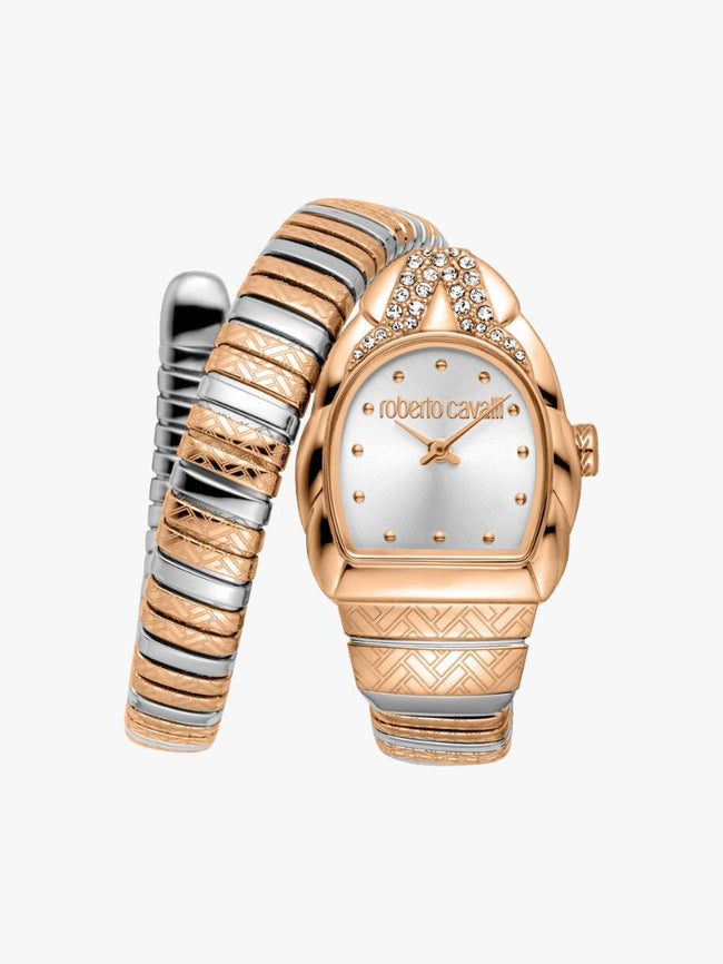 [ARRIVING] ROBERTO CAVALLI  Aurora Silver-tone Dial Ladies Watch RC5L133M0075 image 0
