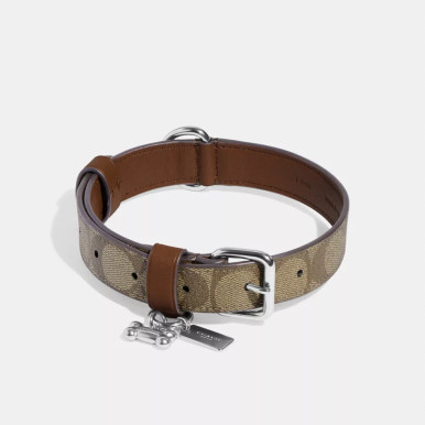 COACH Boxed Large Pet Collar In Signature Canvas image 2