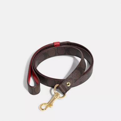 COACH Boxed Large Pet Leash In Signature Canvas -  Gold/Brown Black/Red Apple image 2