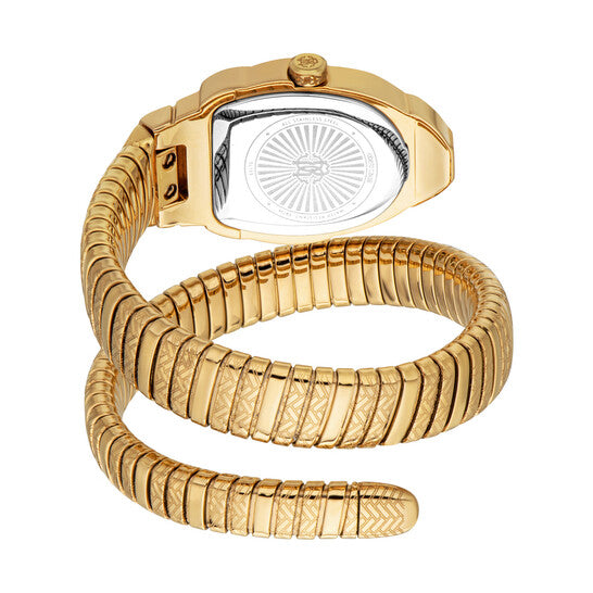 [AT DELHI] ROBERTO CAVALLI Aurora Silver-tone Dial Ladies Watch image 2