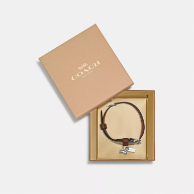 COACH Boxed Large Pet Collar In Signature Canvas image 1