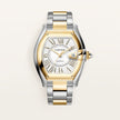 Brand New Roadster Watch CRW2RD0010 at HauteBook.com. Best prices in US, EU, UK & India. Lifetime Authenticity Guarantee. All India Delivery. Trusted by India's Top 1%.