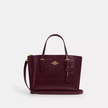 COACH Mollie Tote Bag 25 image 1