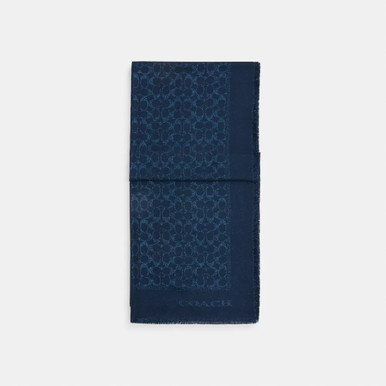 COACH Signature Metallic Oblong Scarf (@Delhi Studio) image 1