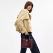 COACH Mollie Tote Bag 25 image 3