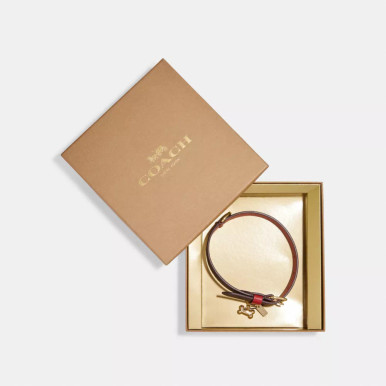 COACH Boxed Medium Pet Collar In Signature Canvas - Gold/Brown Black/Red Apple image 1