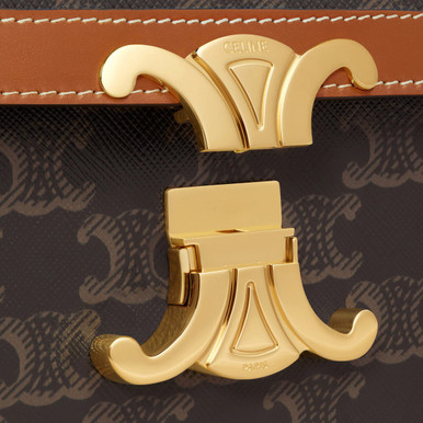 CELINE Classique Triomphe Bag In Triomphe Canvas And Calfskin (@Delhi Studio) image 3