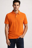 POLO RALPH LAUREN Slim Fit Mesh Polo Shirt (@Delhi Studio) image 0