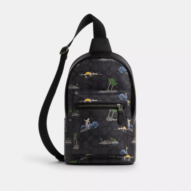 COACH West Pack In Signature Canvas With Surf Print image 4