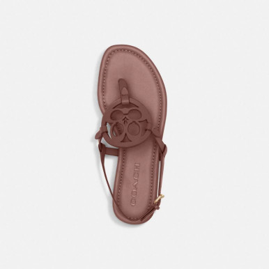 COACH Jaci Sandal image 4