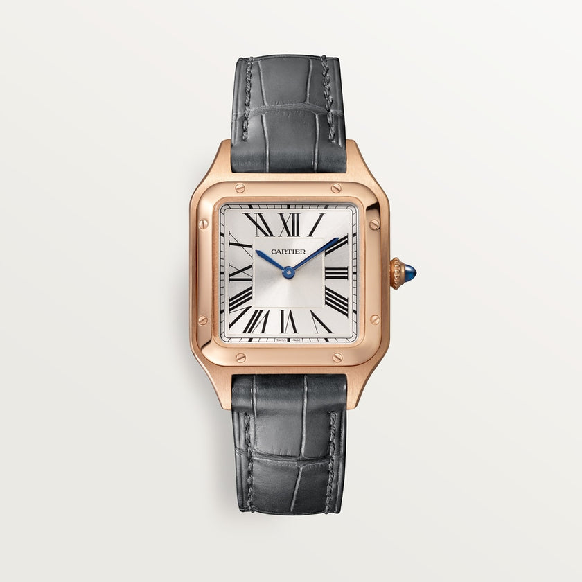 Brand New Santos-Dumont Watch CRWGSA0117 at HauteBook.com. Best prices in US, EU, UK & India. Lifetime Authenticity Guarantee. All India Delivery. Trusted by India's Top 1%.