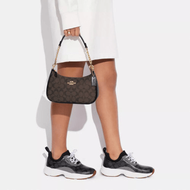 COACH Teri Shoulder Bag image 0