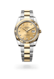 brand-new-datejust-41-m126333-0011-size-41mm