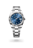 brand-new-datejust-41-m126334-0037-size-41mm